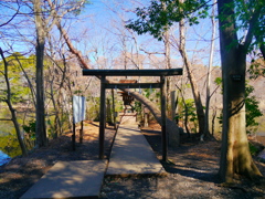 三宝寺池の水神様_2