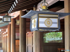 新緑の明治神宮12