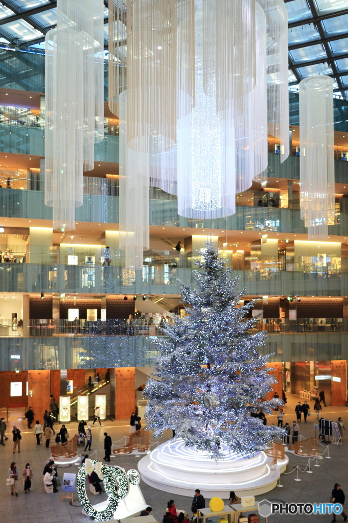 クリスマスツリー（２）