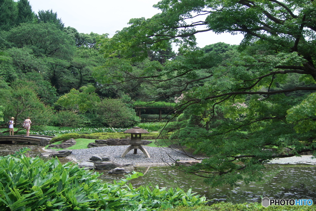 二の丸庭園 
