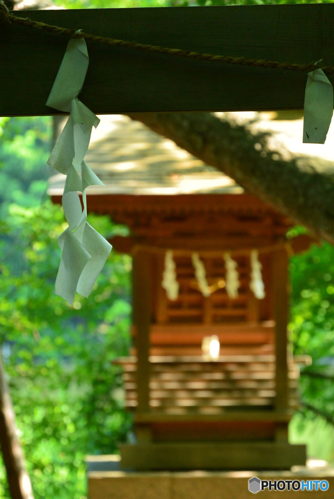 朝の石神井公園（2016年7月)_1