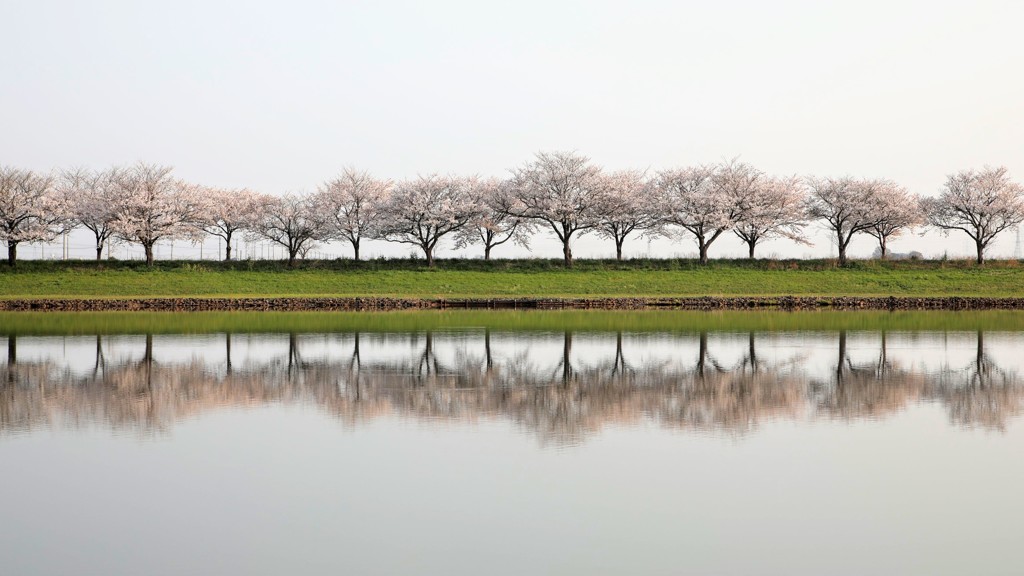 シンメトリー