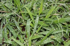 水滴