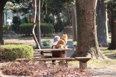 日向ぼっこ