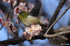あわてないで