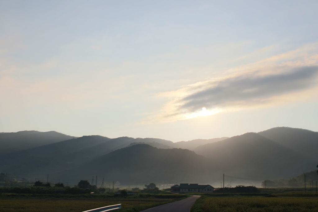 朝靄