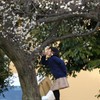 東風吹かば匂いおこせよ梅の花　主無しとて春を忘るな