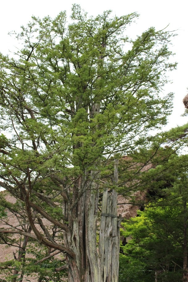 白川郷　1