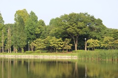 洞峰公園　5