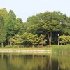 洞峰公園　5