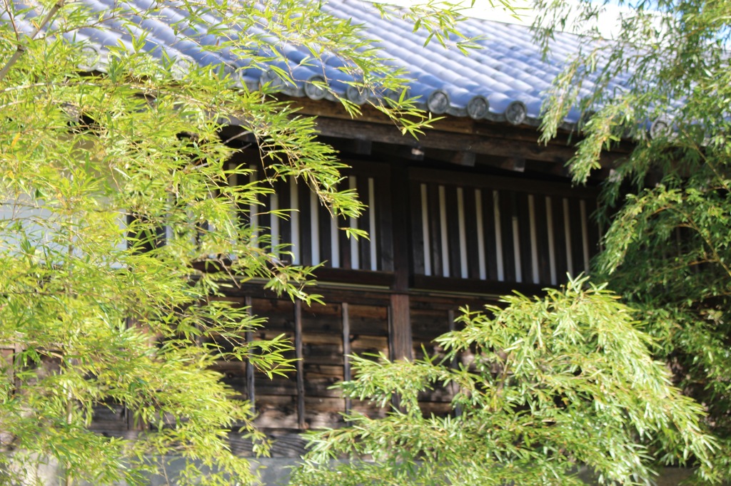 窓