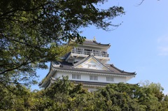 緑、白、青