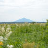 サロベツ原野