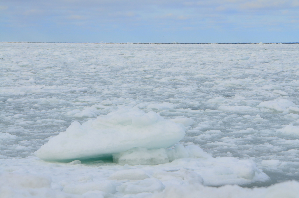 2019.流氷