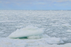 2019.流氷