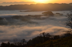 雲海