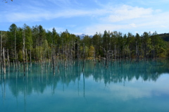 青い池