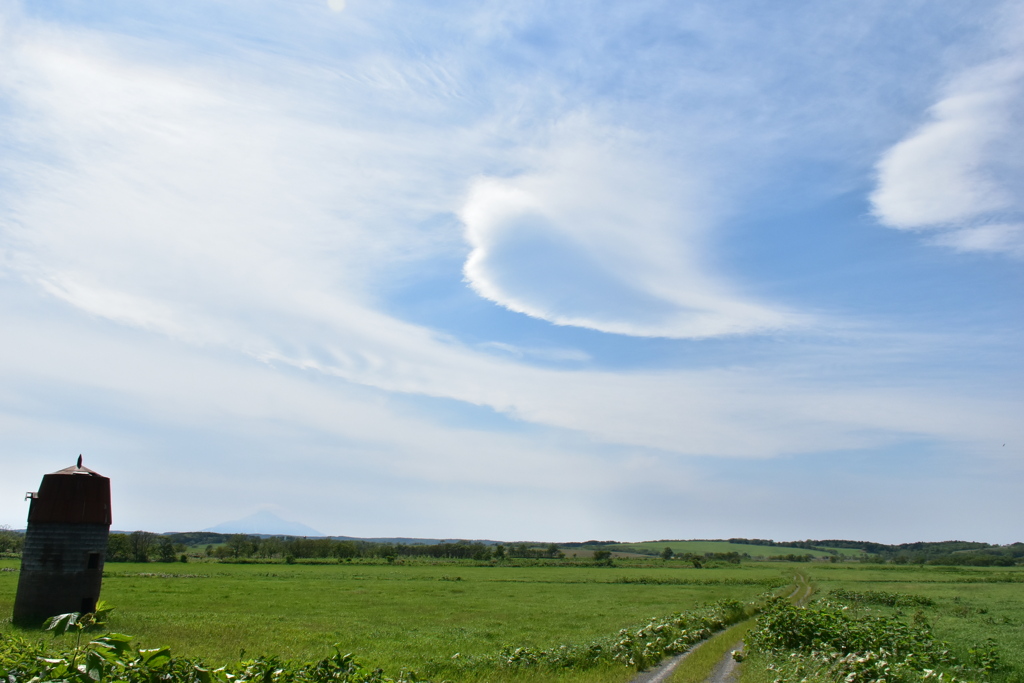 筋斗雲