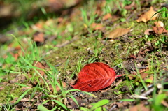 DSC_1127