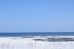 流氷はいずこへ？
