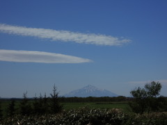 初夏の知らせ