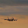 朝焼けを滑空するB747 型機