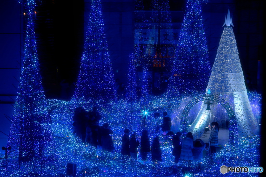 Tokyo イルミ　９