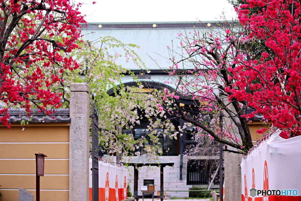 花のある風景