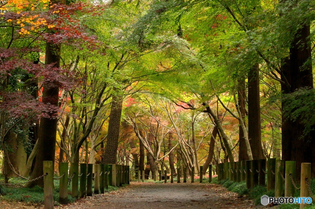 秋を感じる風景　２