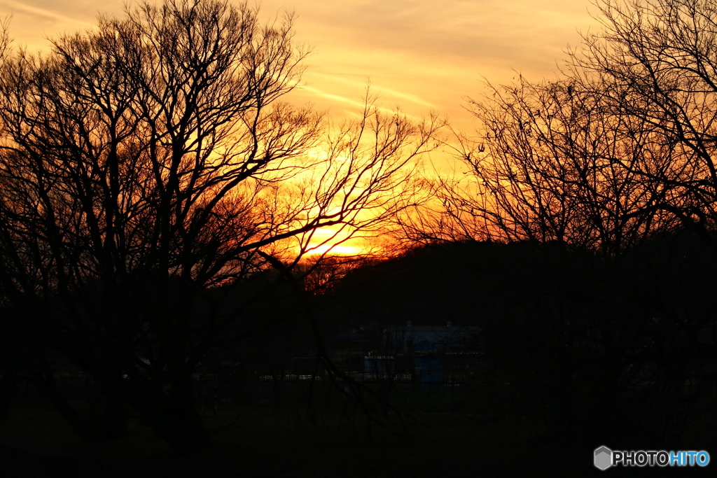 濁り夕日