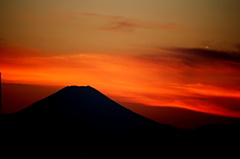 東京日和２９（富士山）