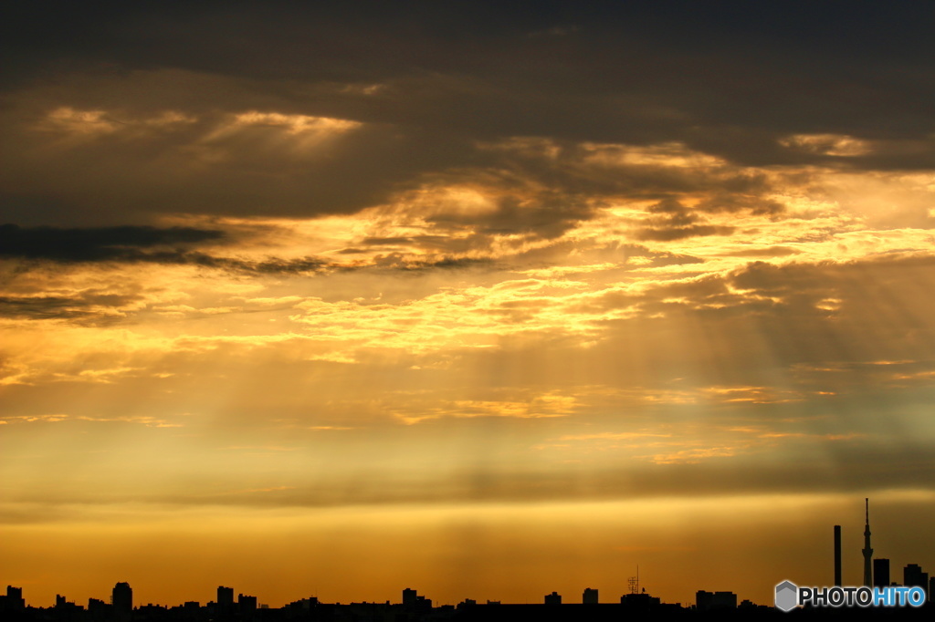 東京日和 14（朝焼け）