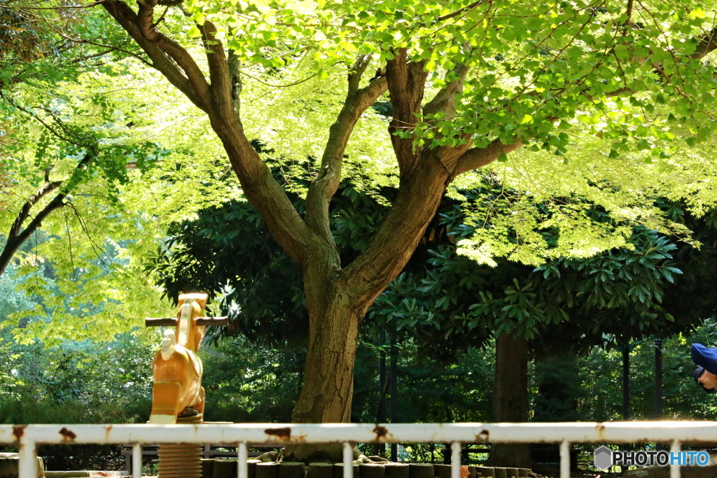 彩玉日和３(公園）