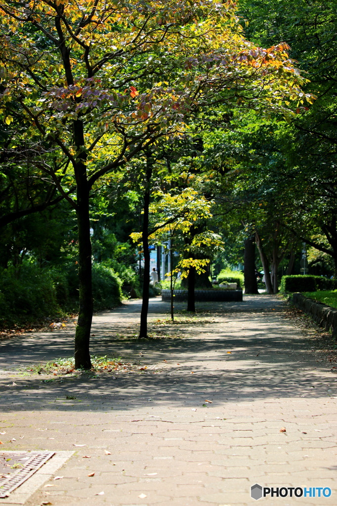 東京日和13（遊歩道）