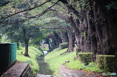 彩玉日和１
