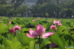 最初の１枚