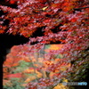 紅葉（もみじ）のいろみ　７