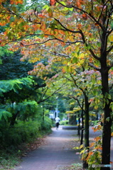 東京日和１３(遊歩道）