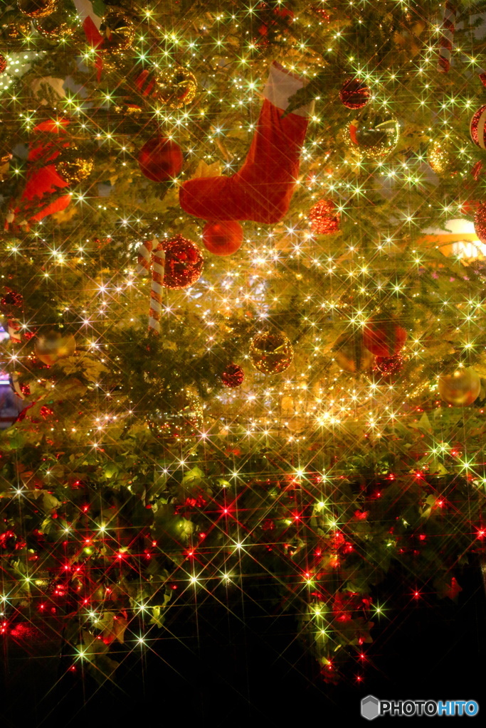 Tokyo イルミ　９（クリスマス）