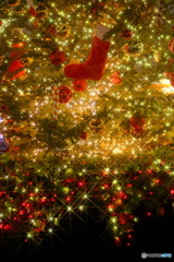 Tokyo イルミ　９（クリスマス）