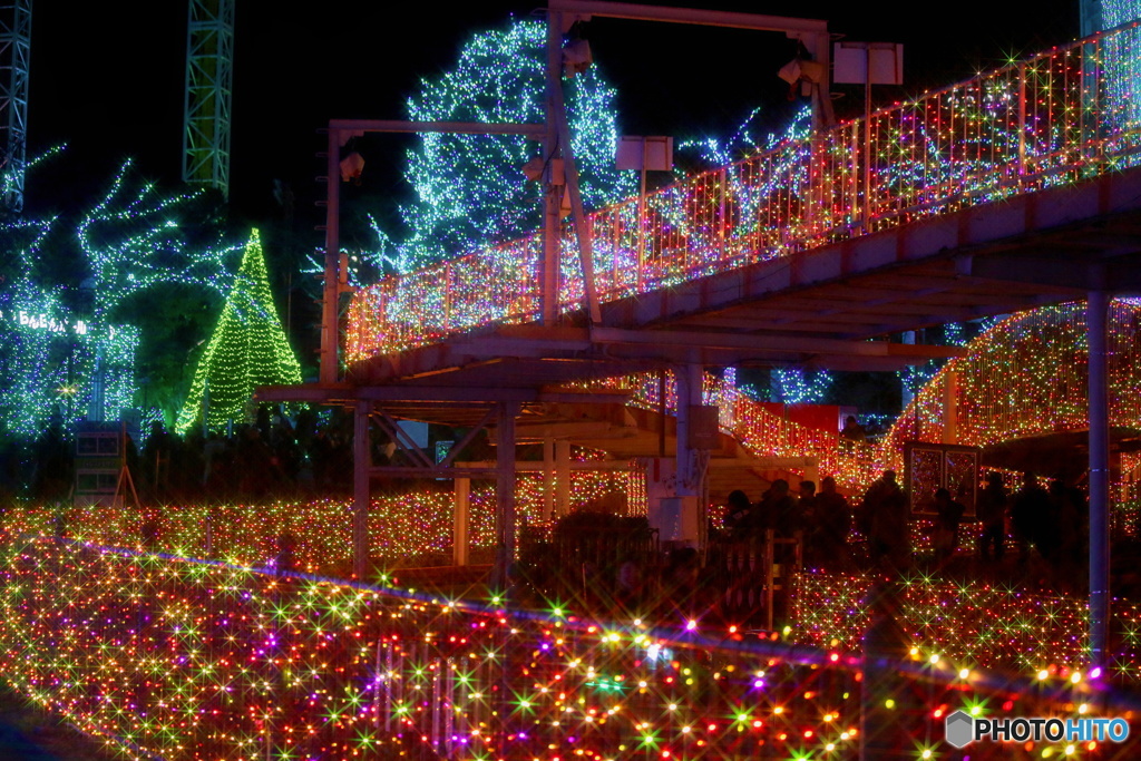 Tokyo イルミ　７