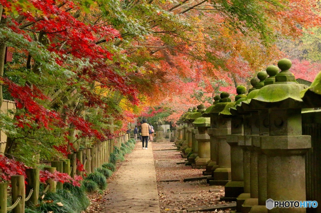 秋を感じる風景　４