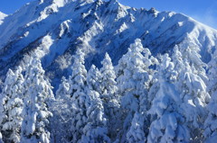 雪の怪物達