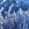 雪の怪物達