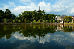 猿沢池の水鏡