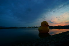 夕焼けのラバーダック