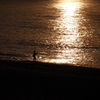 海釣りの朝