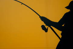 Fight Fishing