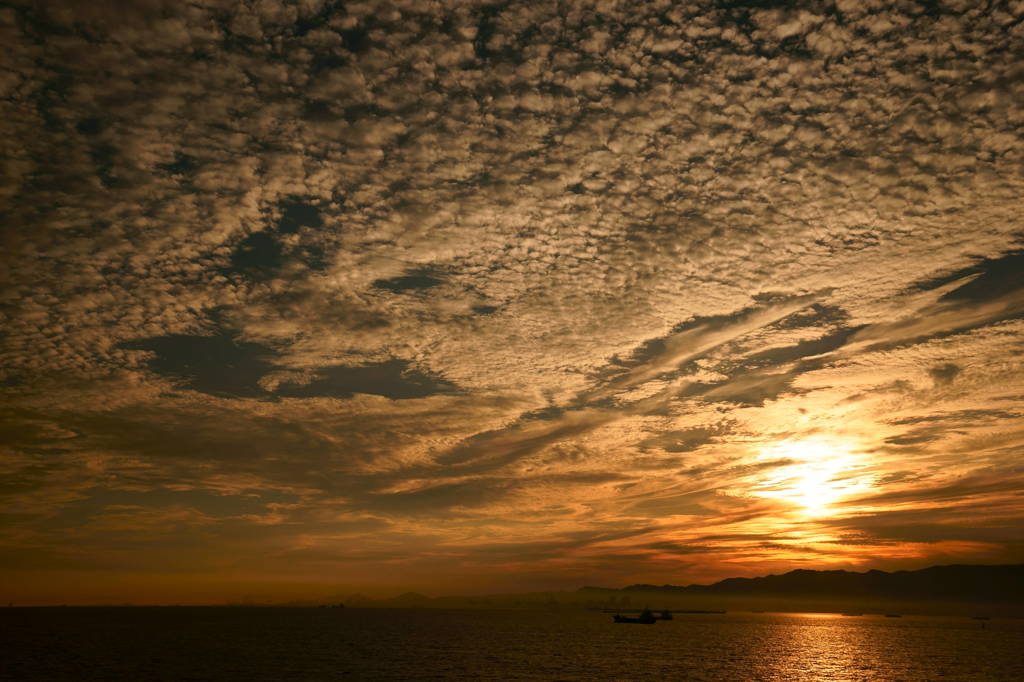 舞洲の夕陽