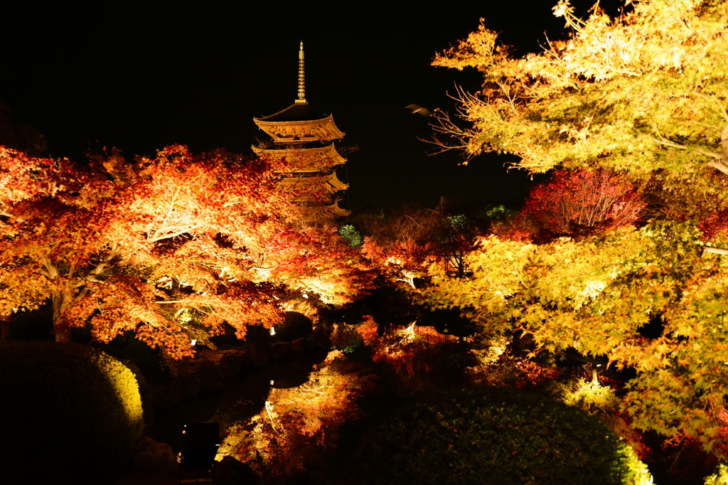 東寺の夜
